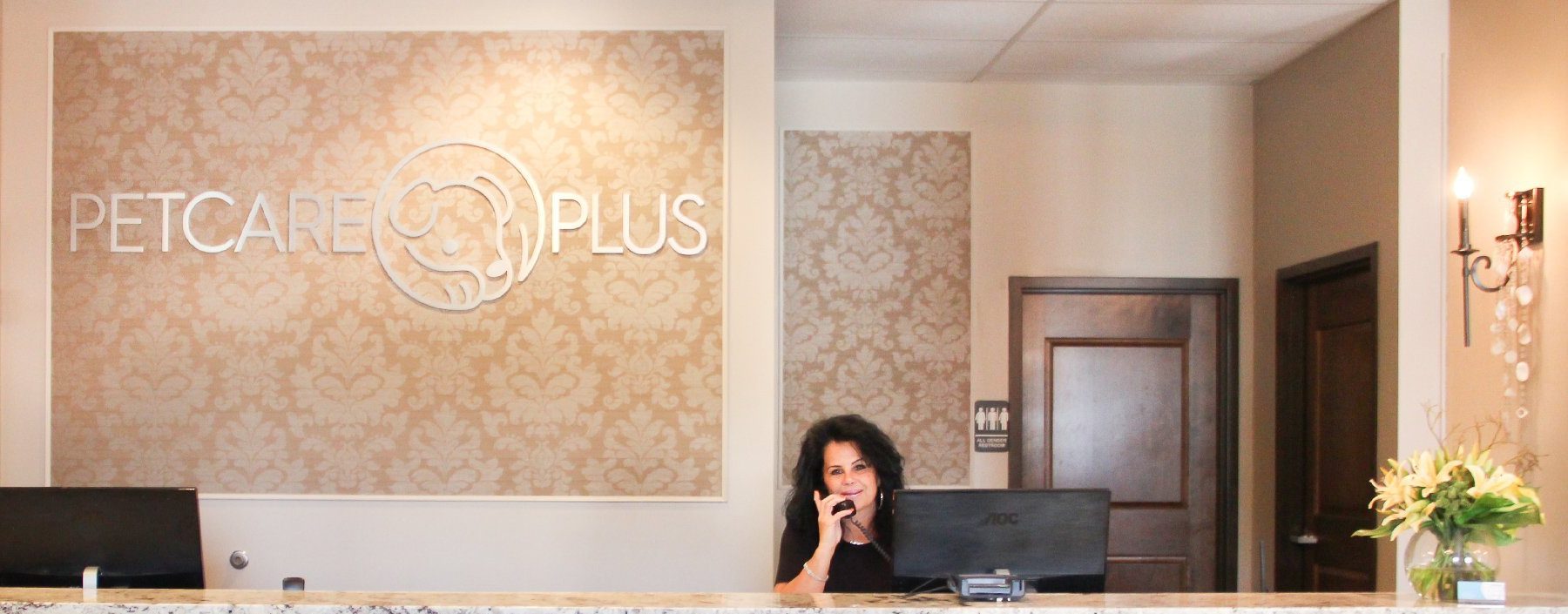 The purpose-built Pet Care Plus resort floor, where dogs from Logan Square spend the day