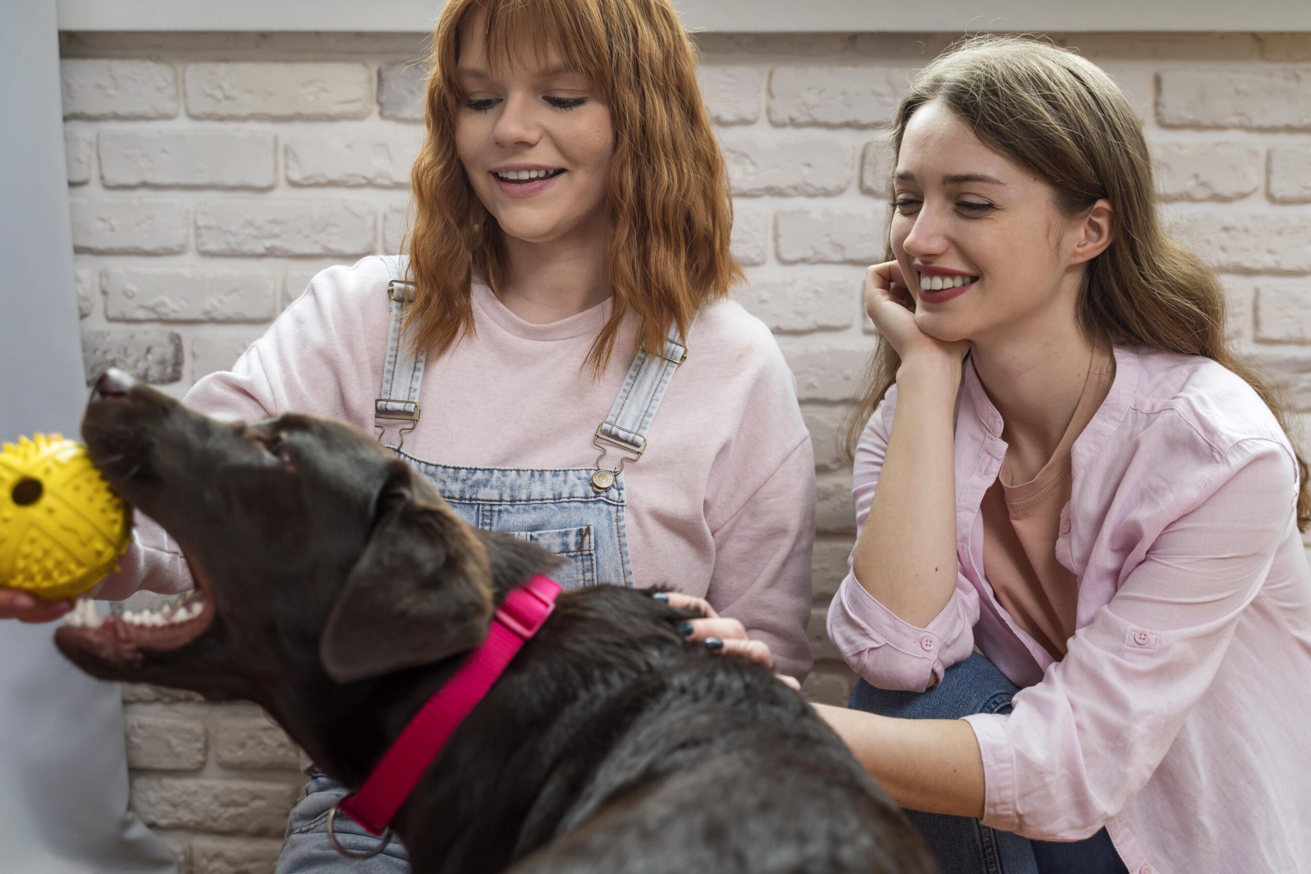 The purpose-built Pet Care Plus resort floor, where dogs from Fulton Market spend the day
