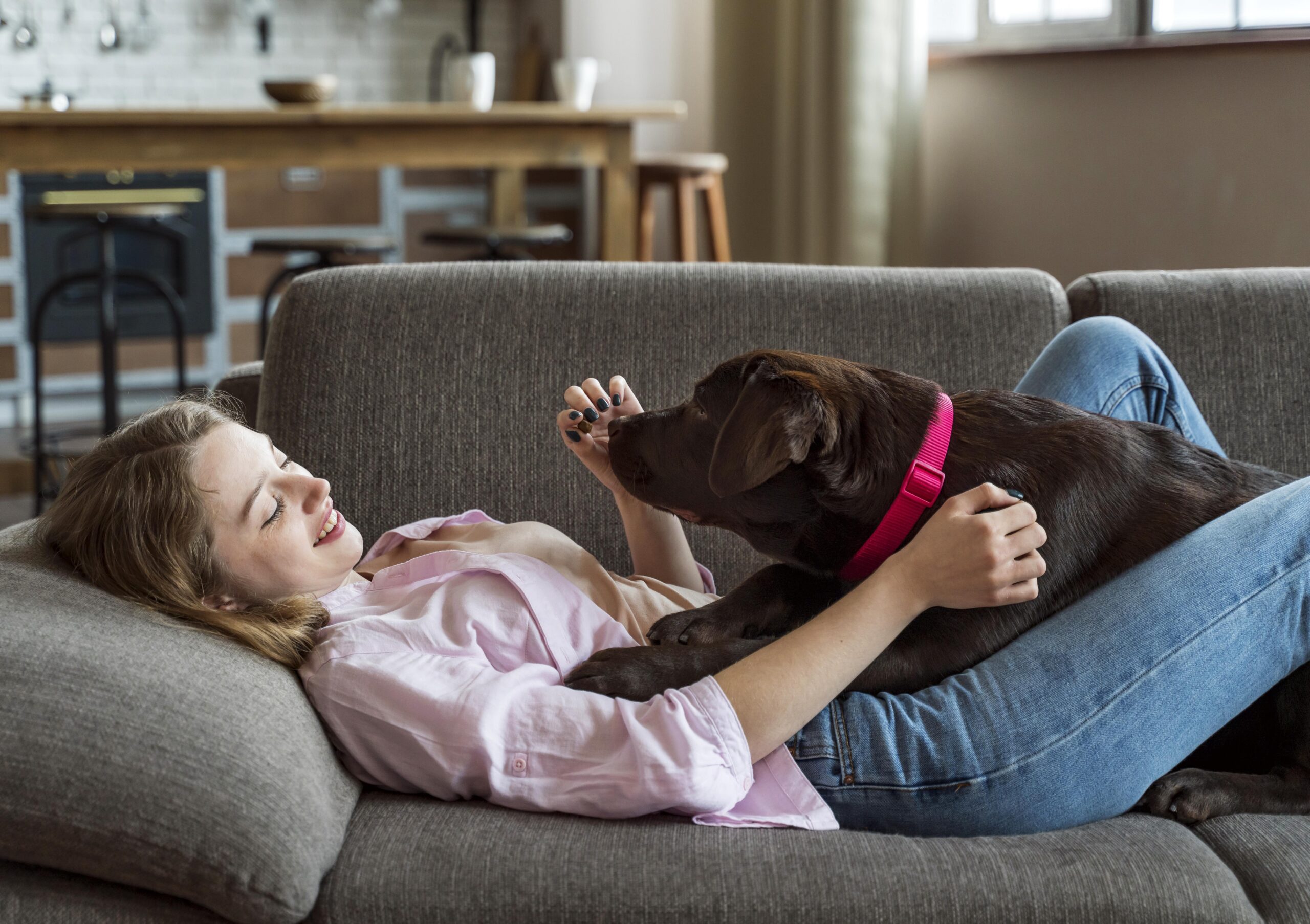The purpose-built Pet Care Plus resort floor, where dogs from Greektown spend the day