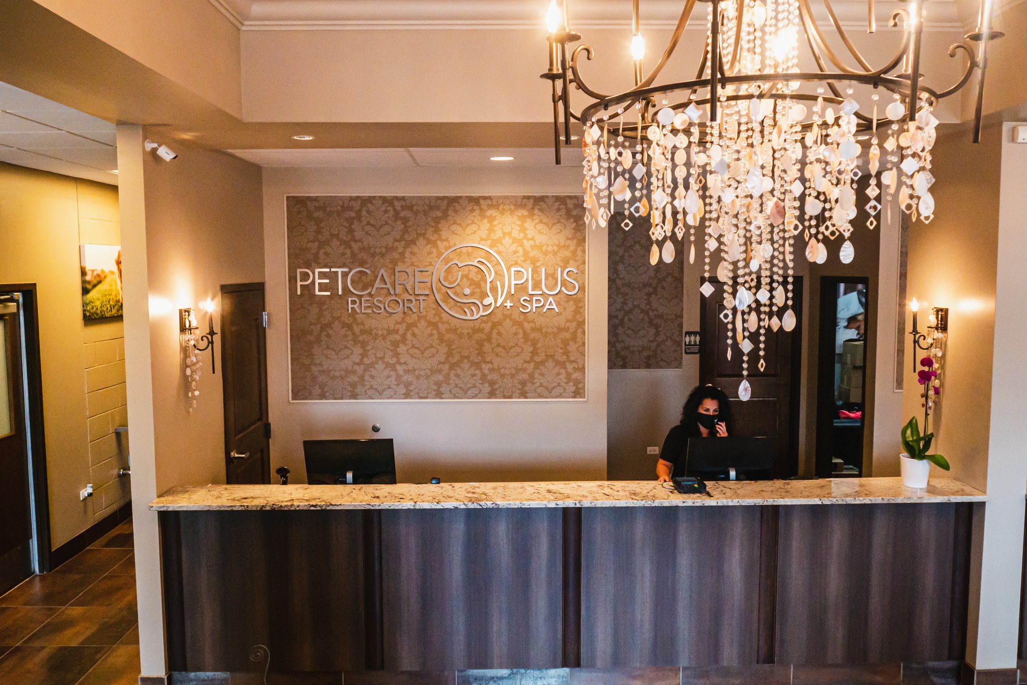 A dog boarding at Pet Care Plus in Chicago&rsquo;s West Loop, the resort used by Humboldt Park dog owners